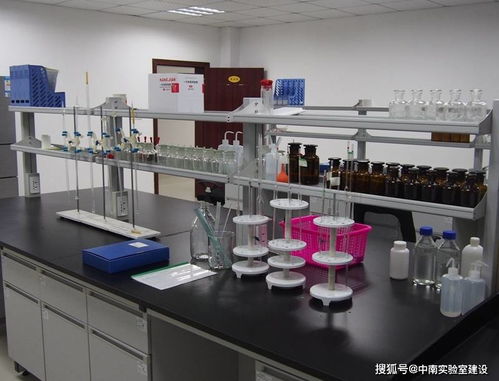 探索生命的奧秘 中南科學DNA實驗玩具建設方案