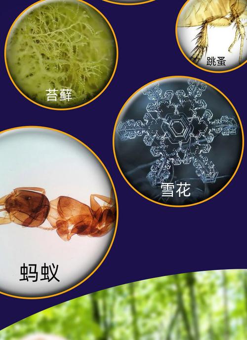 兒童顯微鏡便攜式科學實驗套裝益智玩具器材小學生初中男女孩禮物